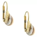 Yellow White Pink Gold Women&#39;s Earrings GL100825