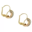 Yellow White Pink Gold Women&#39;s Earrings GL100825