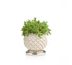 Jar Pigna Acca Argenti AR662 VP/TOR
