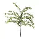 Decorative branch The Black Goose Eucalyptus 1P142