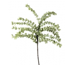 Decorative branch The Black Goose Eucalyptus 1P142