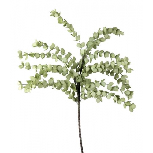 Decorative branch The Black Goose Eucalyptus 1P142