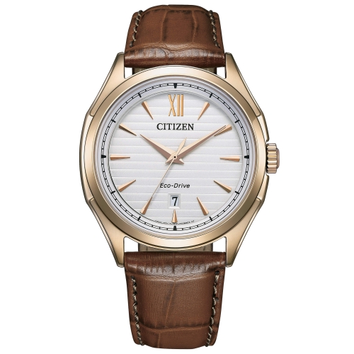 Orologio Uomo Citizen Elegant AW1753-10A