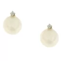 Mikiko Women&#39;s Earrings MO1317O4FABI