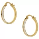 White Yellow Gold Women&#39;s Earrings GL100994