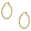 Yellow Gold Women&#39;s Earrings GL101002