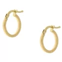 Yellow Gold Women&#39;s Earrings GL101010