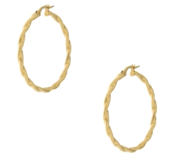 Yellow Gold Women&#39;s Earrings GL101048