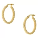 Yellow Gold Women&#39;s Earrings GL101058