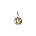 Charm Charm 13 Gelbgold GL101214