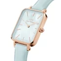 Daniel Wellington watch Bluebell painting DW00100638