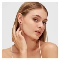 Brosway Fancy Passion Ruby FPR06 earring