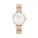 Daniel Wellington Ladies Watch Petite Lumine DW00100613