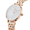 Daniel Wellington Damenuhr Petite Lumine DW00100613