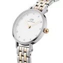 Daniel Wellington Damenuhr Petite Lumine DW00100616