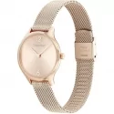 Calvin Klein Timeless Women&#39;s Watch 25200059