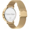 Calvin Klein Timeless Herrenuhr 25200049