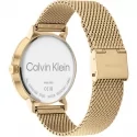 Orologio Uomo Calvin Klein Timeless 25200049