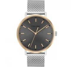 Orologio Uomo Calvin Klein Modern Mesh 25200047