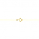 Stroili Beverly Necklace Yellow Gold 1428566