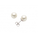 Miluna Women&#39;s Earrings Pearls PPN555BMV3