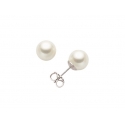 Miluna Damen-Ohrringe Perlen PPN556BMV3