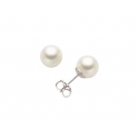 Miluna Damen-Ohrringe Perlen PPN758BMV3