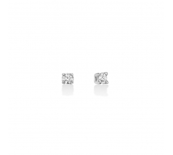 Miluna Women&#39;s Light Point Earrings ERD2307-006G7