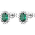 Brosway Fancy FLG14 earrings