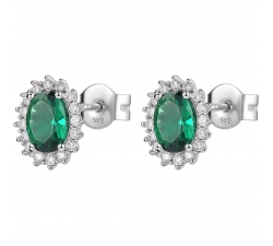 Brosway Fancy FLG14 earrings