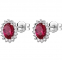 Brosway Fancy FPR15 earrings