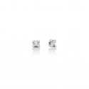 Miluna Women&#39;s Light Point Earrings ERD2386-010G7