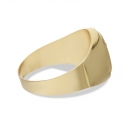 Herrenring aus Gelbgold GL101625