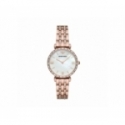 Emporio Armani Women's Watch AR11294