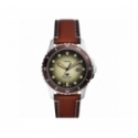 Fossil Men's Watch FS5961