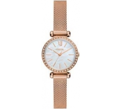 Orologio Donna Fossil BQ3897