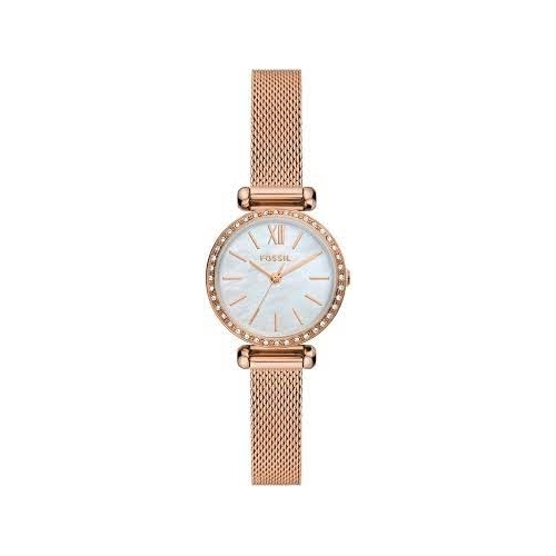 Orologio Donna Fossil BQ3897