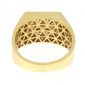 Herrenring aus Gelbgold GL101710