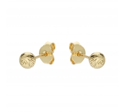Gelbgold-Damenohrringe GL101731