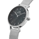 Daniel Wellington Petite Damenuhr DW00100661