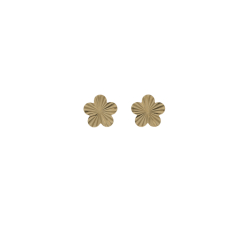 Women's Yellow Gold Earrings GL101987