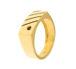 Herrenring Gelbgold GL102029