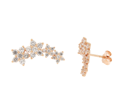 Orecchini Donna Argento COR28
