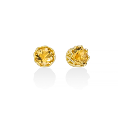 Miluna Unica Hummingbird Women's Earrings ERD3127