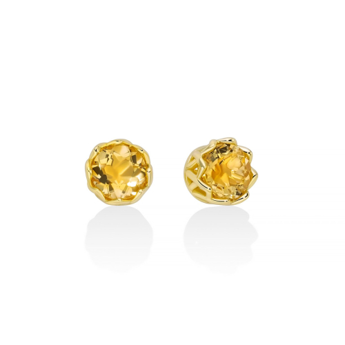 Miluna Unica Hummingbird Women's Earrings ERD3127