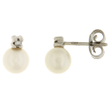 Mikiko Women's Earrings MO1503R4FABI