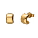 Damen-Ohrringe aus Gelbgold GL102091