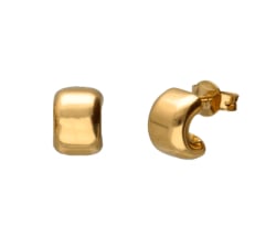 Women's Yellow Gold Earrings GL102091