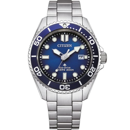 Citizen Promaster Diver's Eco Drive BN0260-54L watch