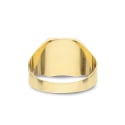 Men's Yellow Gold Ring GL102115
